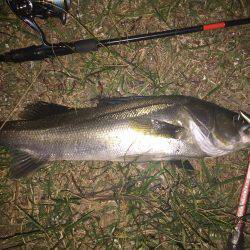 怒涛のバイトラッシュ！